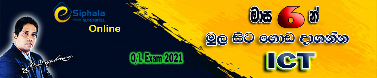Grade 11 - 2021 O/L Exam