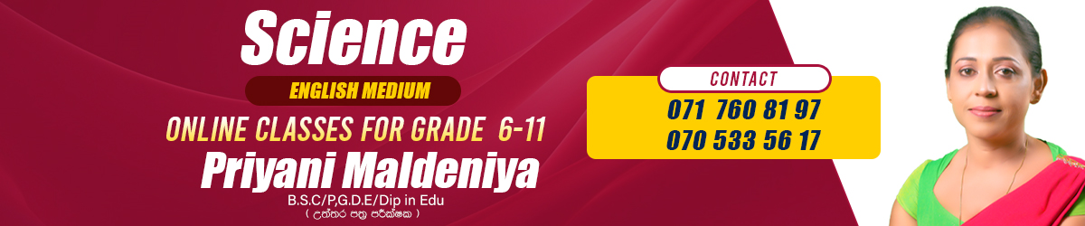 Grade 11 (2026) Science Paper Class - December