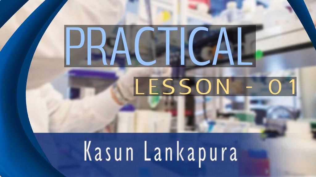 Practical lesson 1 Kasun Lankapura 