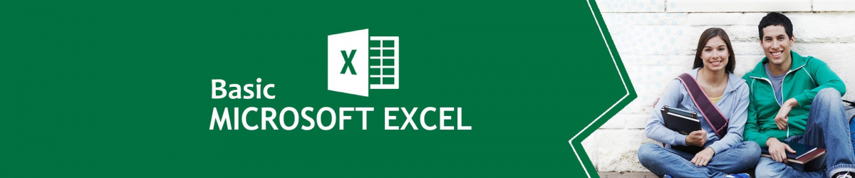 Basic Microsoft Excel