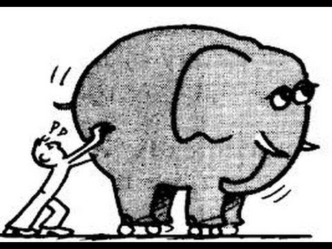 බලය හා ගම්‍යතාවය සරළව 1