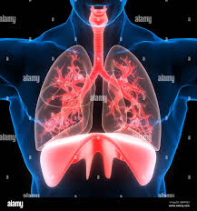 Theory Class January class Kasun Lankapura  2022