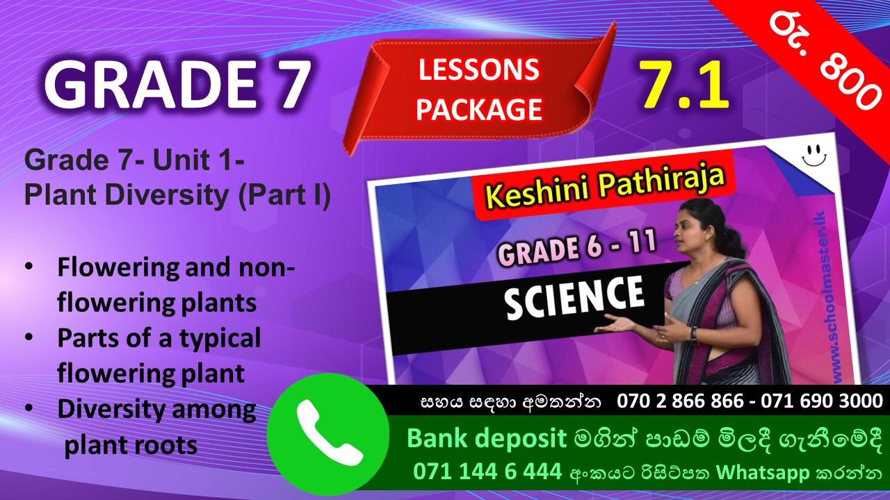 Grade 7- Science - Unit one - Plant Diversity (part one)  Keshini Pathiraja