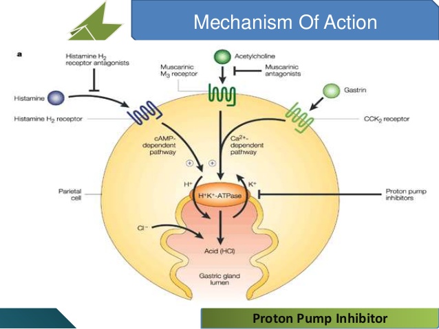 Pharmacy Revision and Theory class December