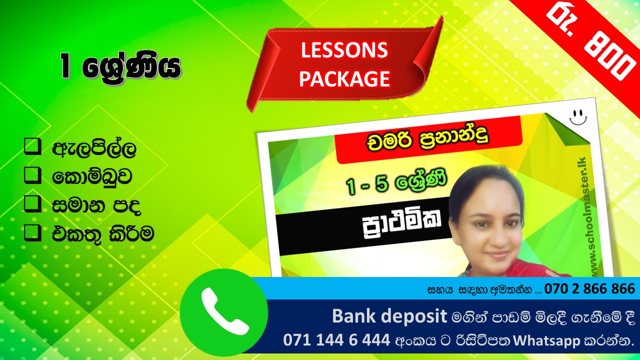 Grade 1- Primary - Chamari Miss - Lesson Package 